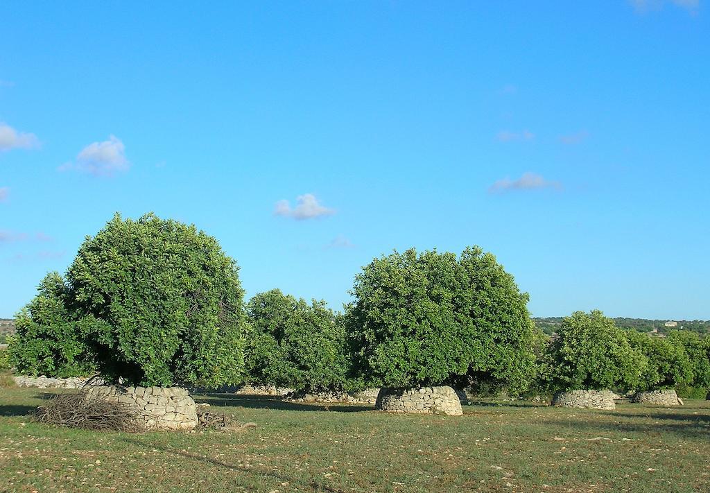 Casa Vacanze Sogno Siciliano Santa Croce Camerina Esterno foto
