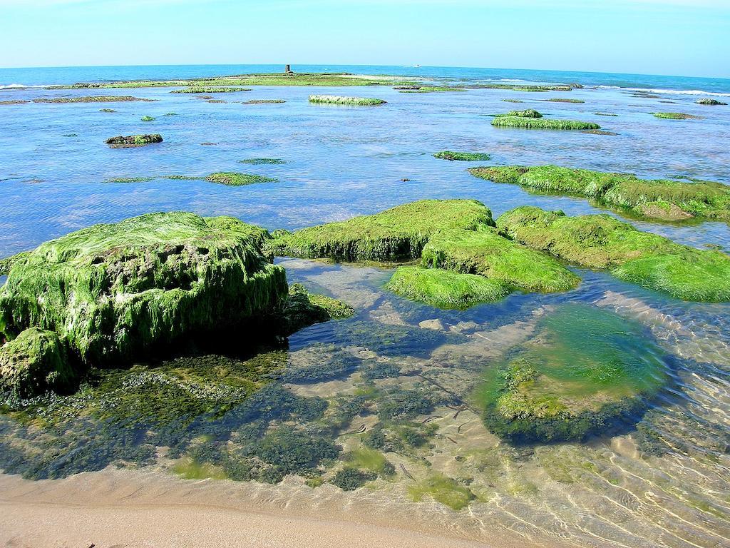 Casa Vacanze Sogno Siciliano Santa Croce Camerina Esterno foto